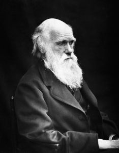 達爾文（1809–1882）