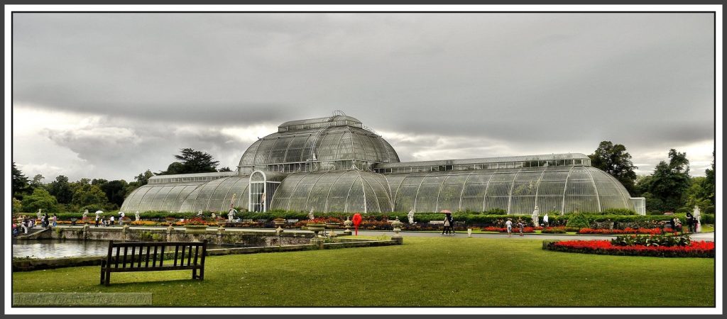 英國皇家植物園（邱園）©️ A.P.PHOTOGRAPHY.